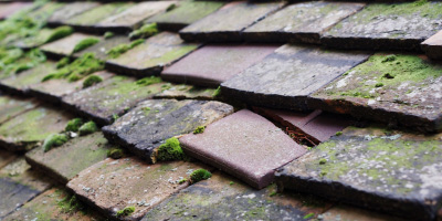 Eastham roof repair costs